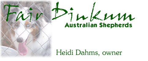 Send an Email to Fair Dinkum - Click HERE